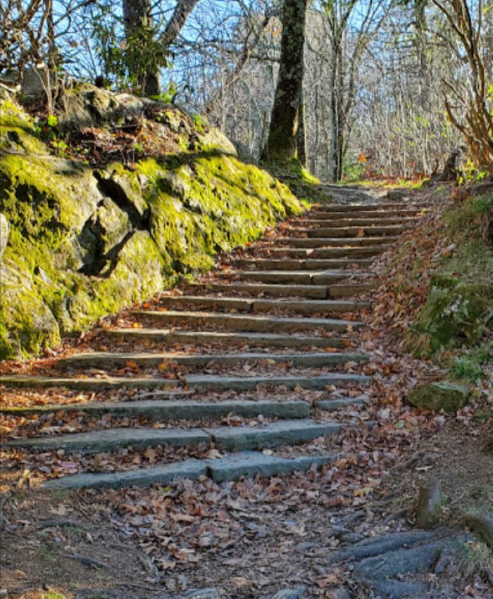 Hike To Buck Spring Lodge Ruins In North Carolina On This 3.9-Mile Trail