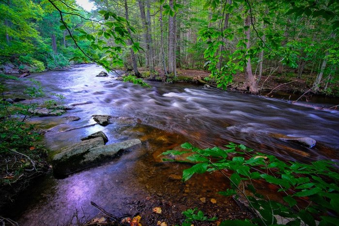 Escape to the Wild: Discover the Magic of Hacklebarney State Park