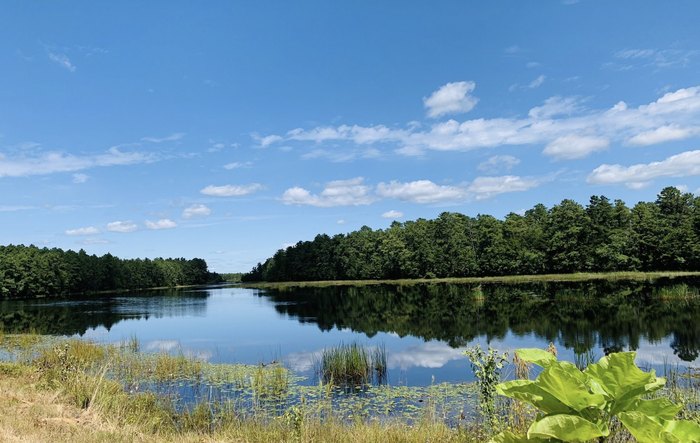 Hike Past Ruins In New Jersey's Wharton State Forest