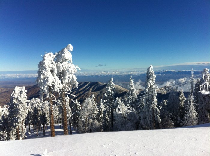 Go Skiing In Arizona This Winter At Mount Lemmon Ski Valley