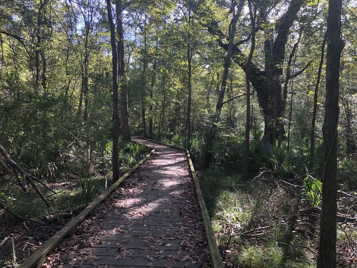 Explore These 12 Scenic Hikes In Louisiana All Year