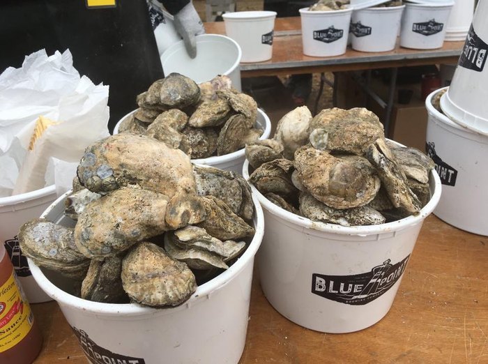 The Lowcountry Oyster Festival Is The Best Winter Festival In SC