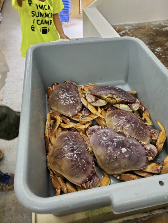 ABC Seafood Company Sells The Biggest Dungeness Crab In Oregon