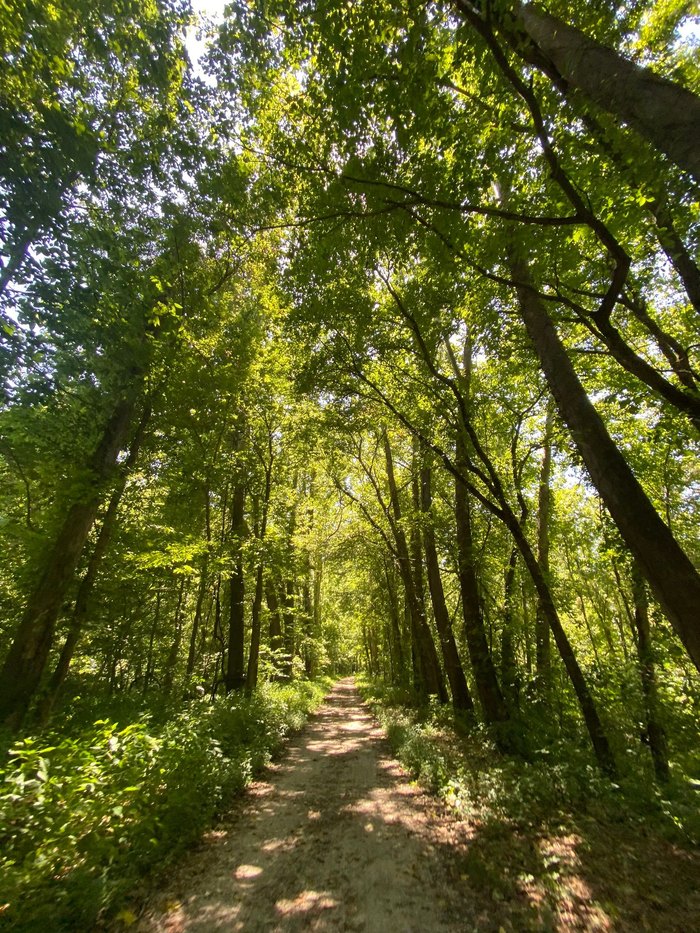 Lost Valley Trail In Missouri Leads To Abandoned Ruins