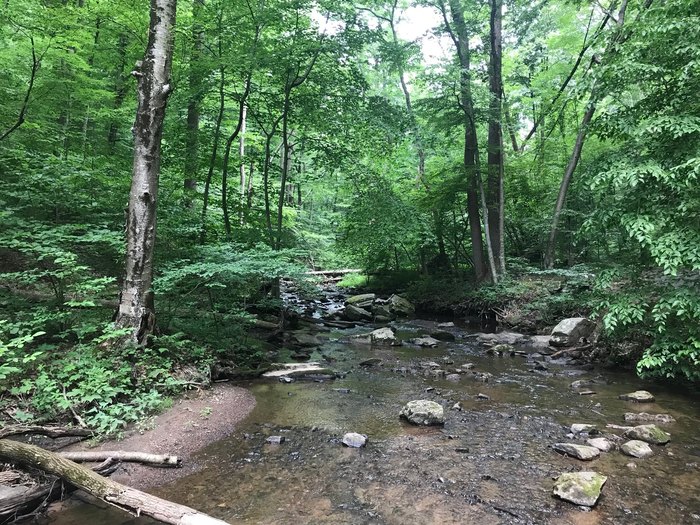 Hacklebarney Loop Trail Is An Easy All-Season Hike In New Jersey