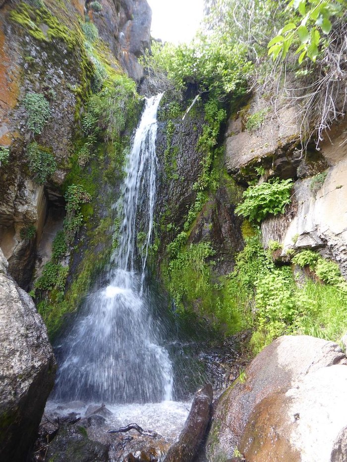 This 0.4-Mile Trail In Idaho Leads To A 40-Foot Waterfall