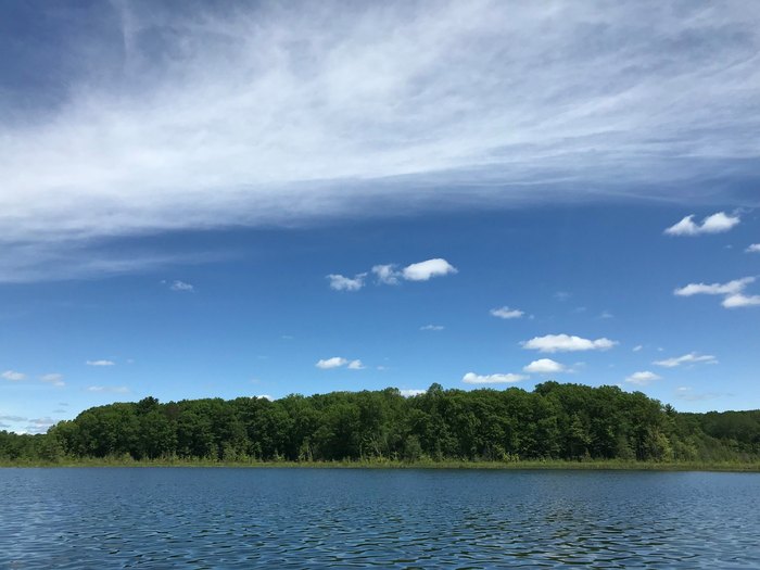 Sleep Among Ancient Trees At Hunt Hill Cabins In Wisconsin