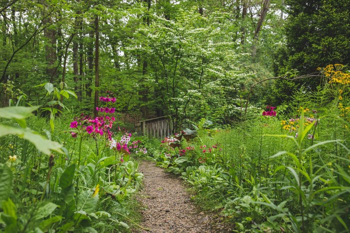 Fernwood Botanical Garden Has Prettiest Spring Trails In Michigan