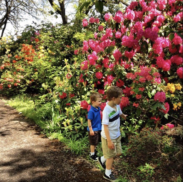 The Rhododendron Festival In Oregon Is A Perennial Favorite