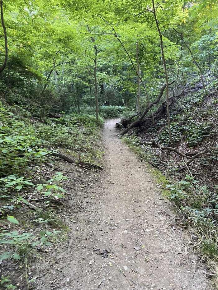 Running Deer Trail Is A Magical Hiking Trail In Illinois