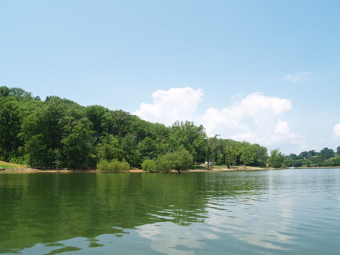 Douglas Lake One Of The Most Beautiful Lakes In Tennessee