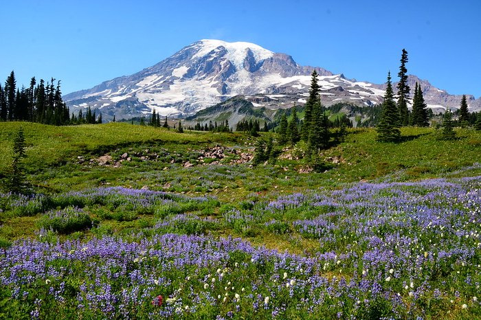 7 Unique Natural Wonders Of Washington State