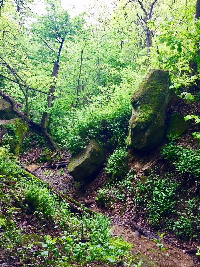 Chief Wapello Trail Is One Of Iowa's Most Magical Forest Secrets