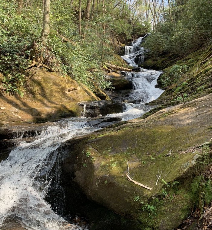 For Stunning Views Hit These 5 Waterfall Hikes In North Carolina