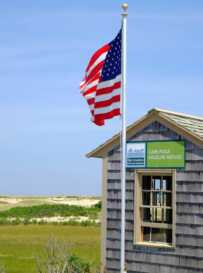 are dogs allowed at cape pope wildlife refuge