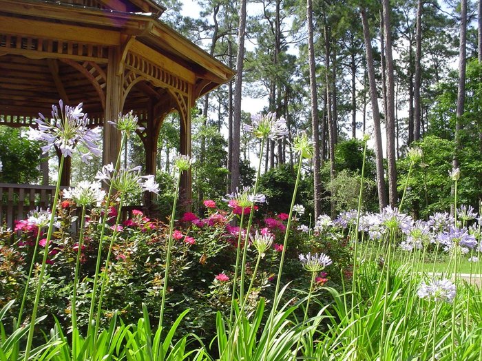 A wood gazebo surrounded by wildflowers at the Crosby Arboretum in Mississippi