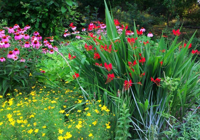 Cylburn Arboretum: A Hidden Gem In Baltimore, Maryland