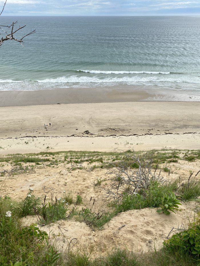 are dogs allowed at cape cod national seashore