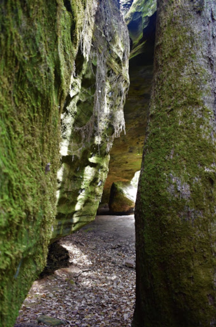 The Largest Freestanding Arch East Of The Mississippi Is In Kentucky