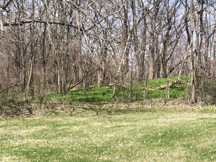 This Stunning Earthwork In Iowa Is An Archaeological Mystery