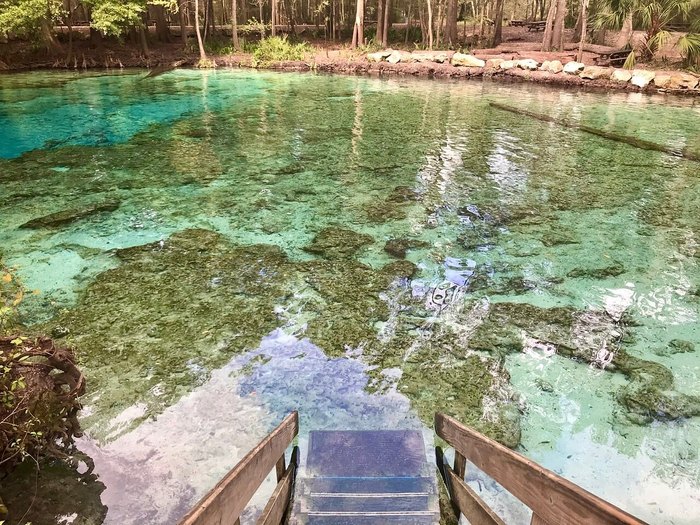 Swim In The Clearest Spring In Florida Ginnie Springs