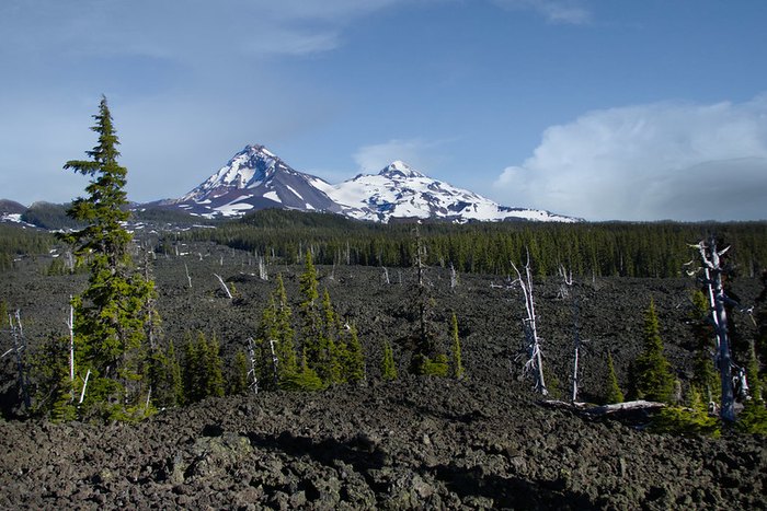 Lava Cast Forest: Take A Paved Trail Through This Oregon Forest