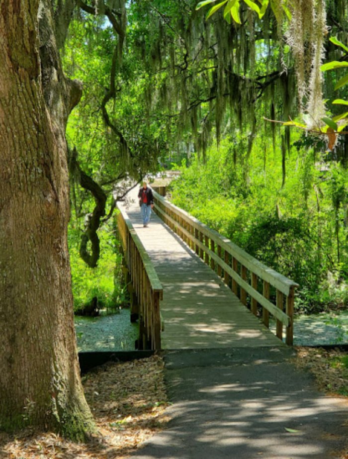 Cypress Wetlands Boardwalk Trail In South Carolina Is Beautiful