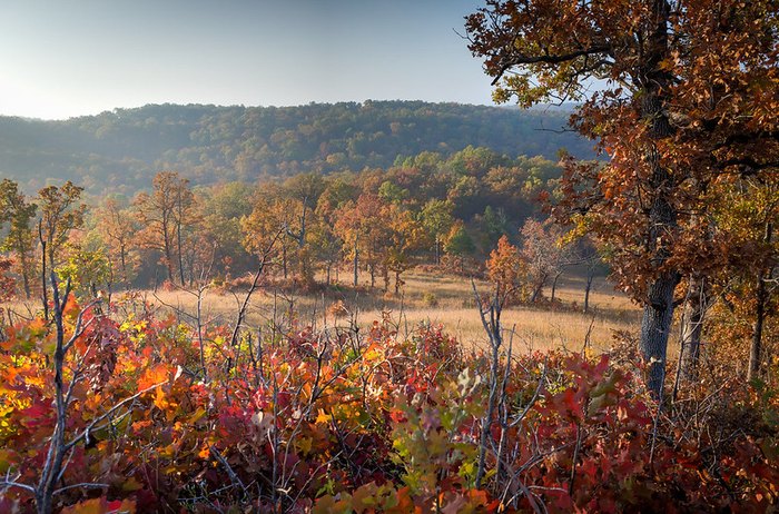 The Fall Foliage At These 7 State Parks In Missouri Is Enchanting