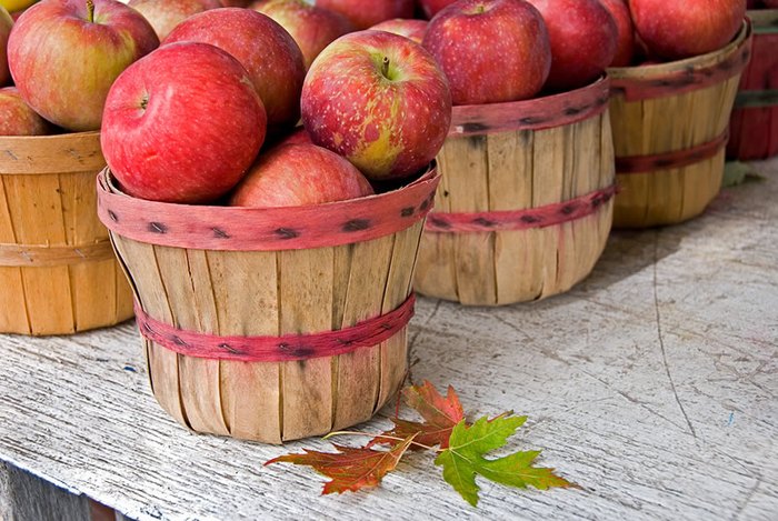 You'll Have Loads Of Fun At This Apple Festival In Rhode Island