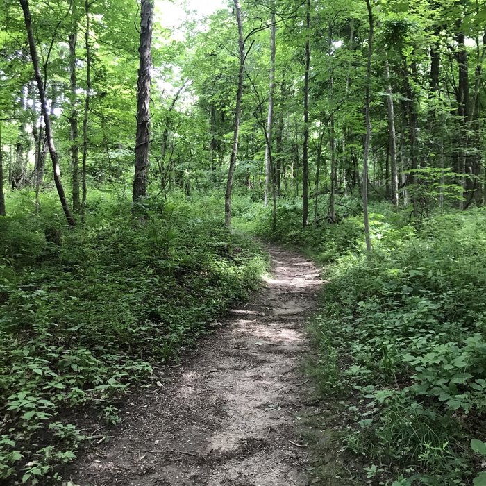 The Historic Hike In Indiana That Leads Through An Old Farm