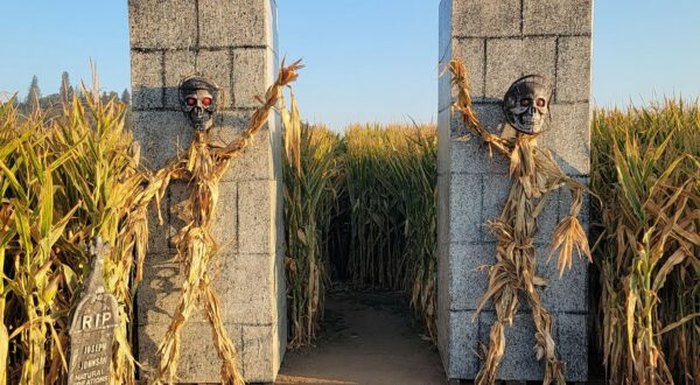 Check Out These Haunted Corn Mazes In Oregon... If You Dare