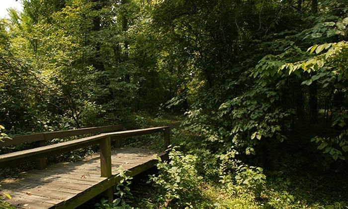 Escape to Nature's Embrace: Your Guide to Illinois Horseshoe Lake State Park