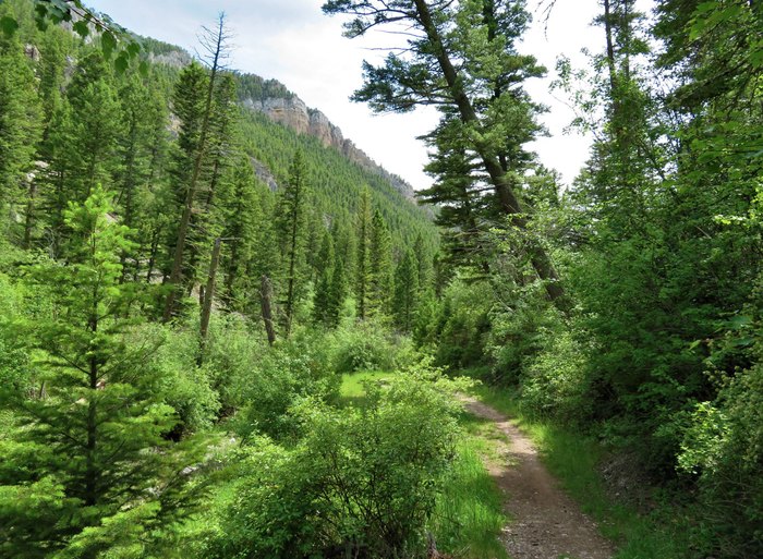 Relax Among The Canyon Walls On This Trail In Montana