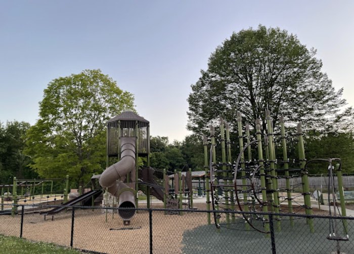 Friendship Park Is A Nature Themed Playground In Massachusetts bluey-and-bingo-animated-dog-siblings-kids-show-png-png-all