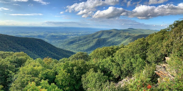 Beautiful Loop Trails In Virginia: Hawksbill Loop