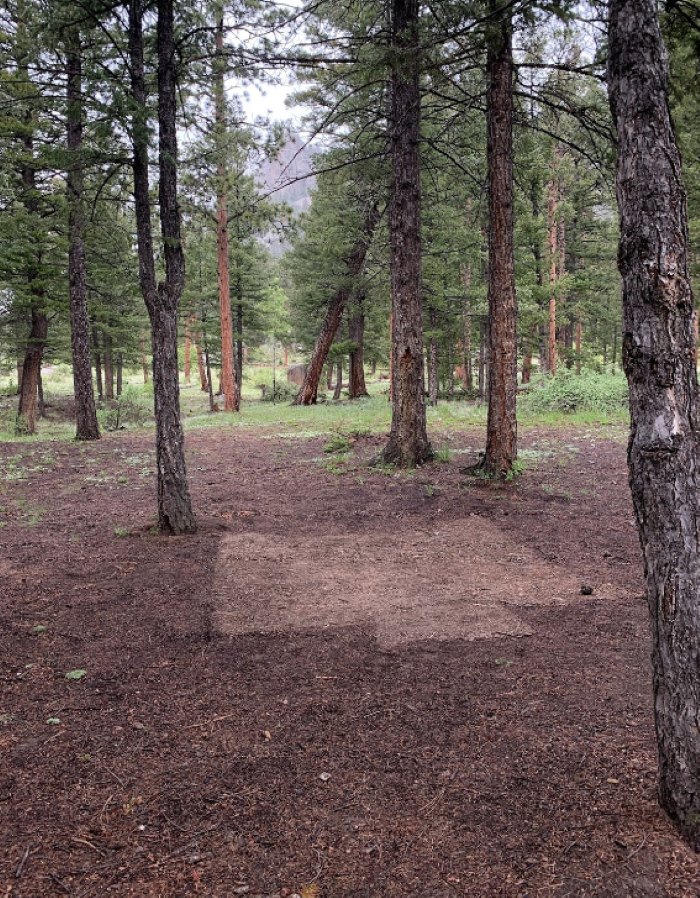 Escape to the Wild: Kelsey Campground - Your Colorado Adventure Awaits