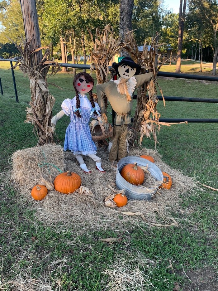 Best Fall Festivals In Texas Chappell Hill Scarecrow Festival