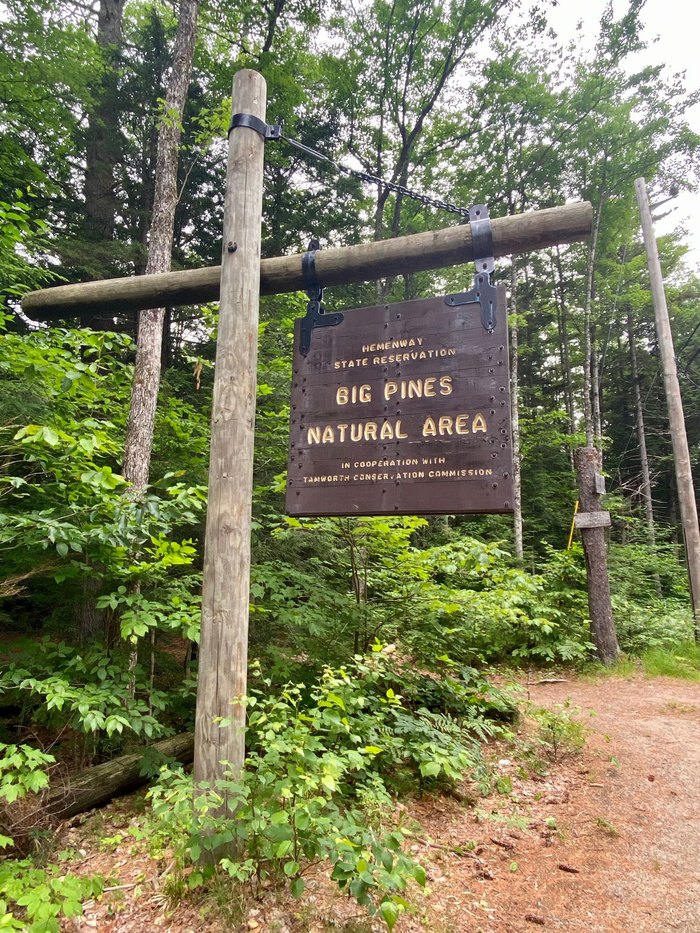 Hike This Fairy Tale Trail In New Hampshire