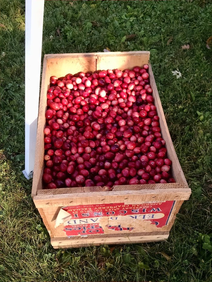 The Gays Mills Apple Festival In Wisconsin Is A Fall Tradition