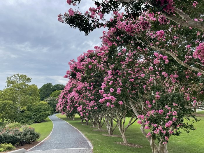 are dogs allowed at norfolk botanical gardens