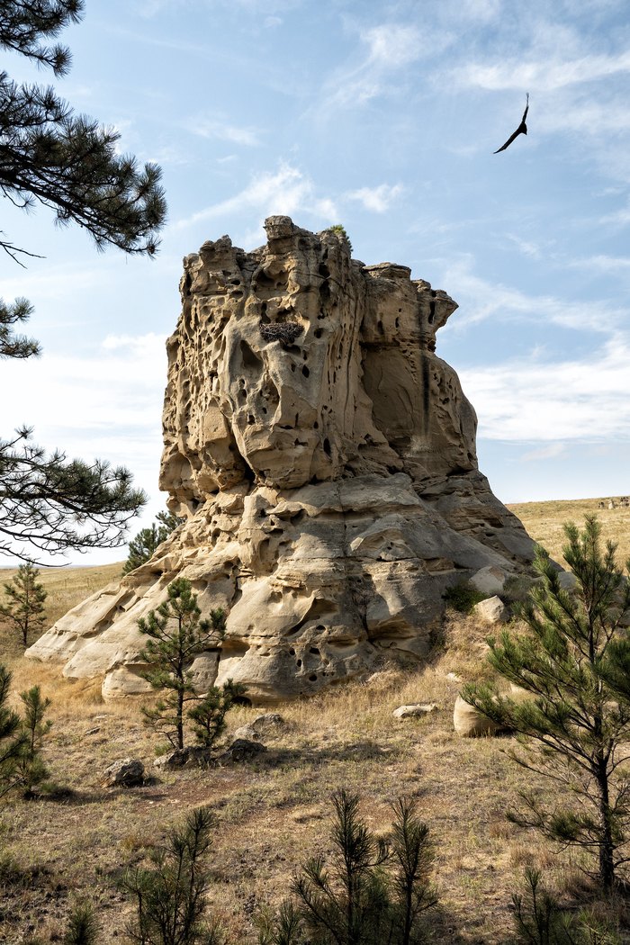 A tall rock formation at Medicine Rocks State Park in Montana. An eagle is circling the formation.