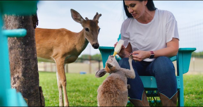 Blue Hills Ranch: Watch Animals Roam From Your Cabin In Texas Blue Hills Ranch: Watch Animals Roam From Your Cabin In Texas