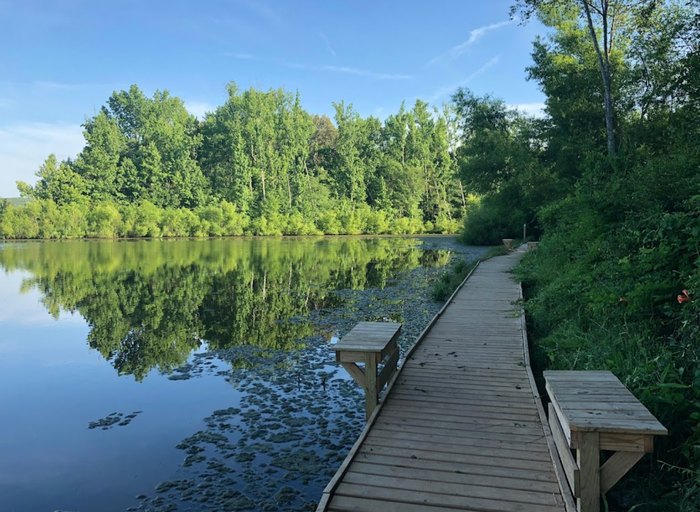 Harvest Square Nature Preserve: A Hidden Gem In Alabama