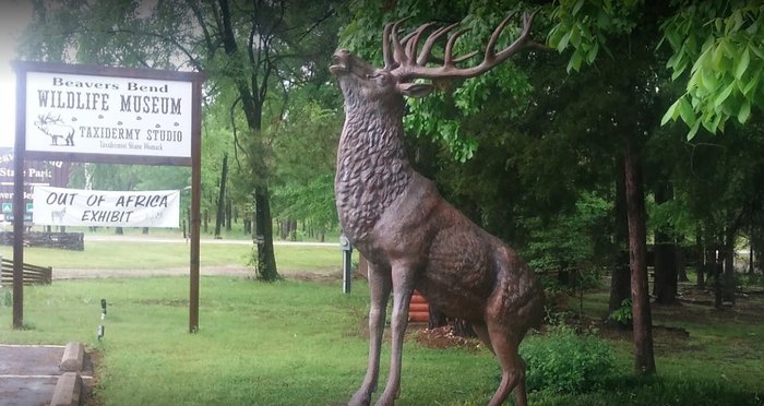 are dogs allowed in beavers bend state park