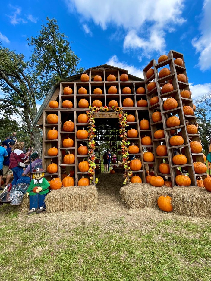 One Of The Largest Fall Festivals In Texas Is At P6 Farms