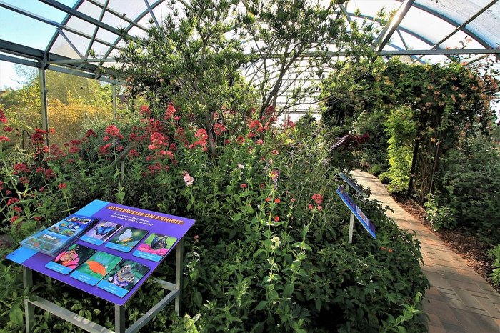 The Largest Butterfly Conservatory In Nevada Is Near A Great Hike