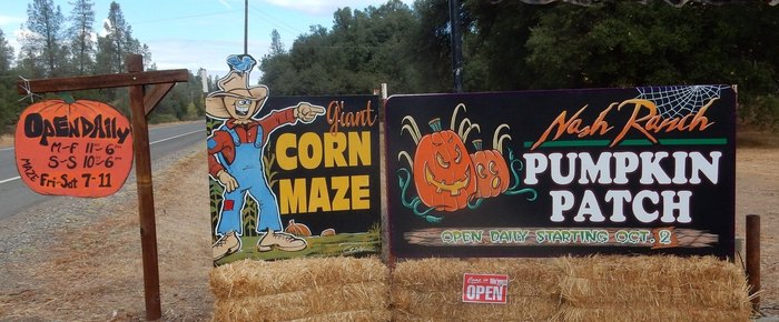 pumpkin patch redding ca