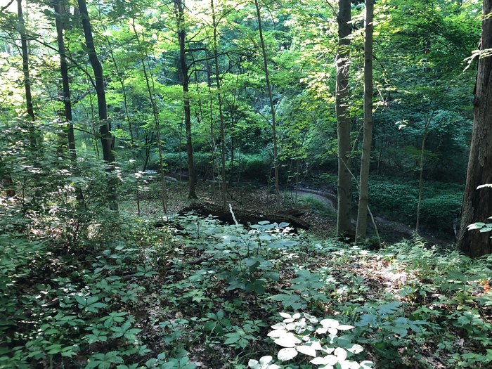 Here Are The Best Forested Beginning Hikes In Indiana