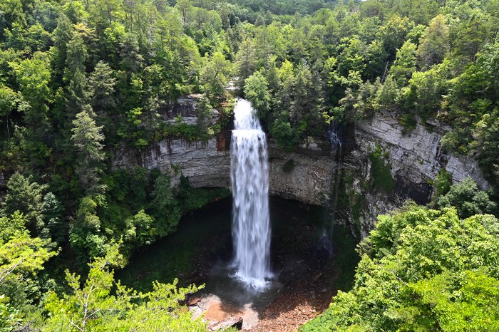 are dogs allowed at fall creek falls