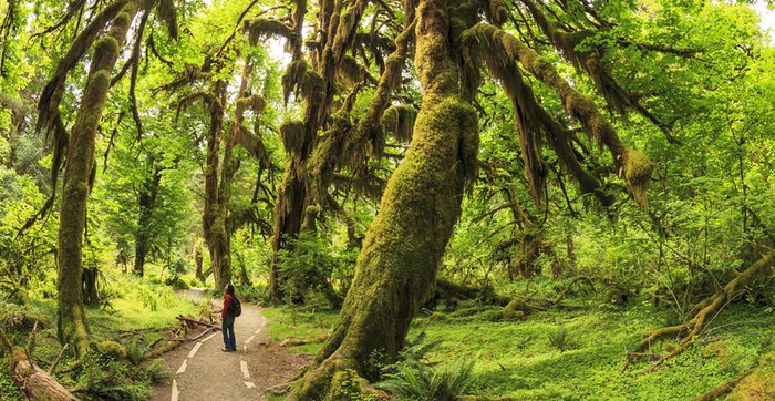 15 Otherworldly Hiking Trails That Will Make You Feel As Though You’ve Stepped Onto Another Planet